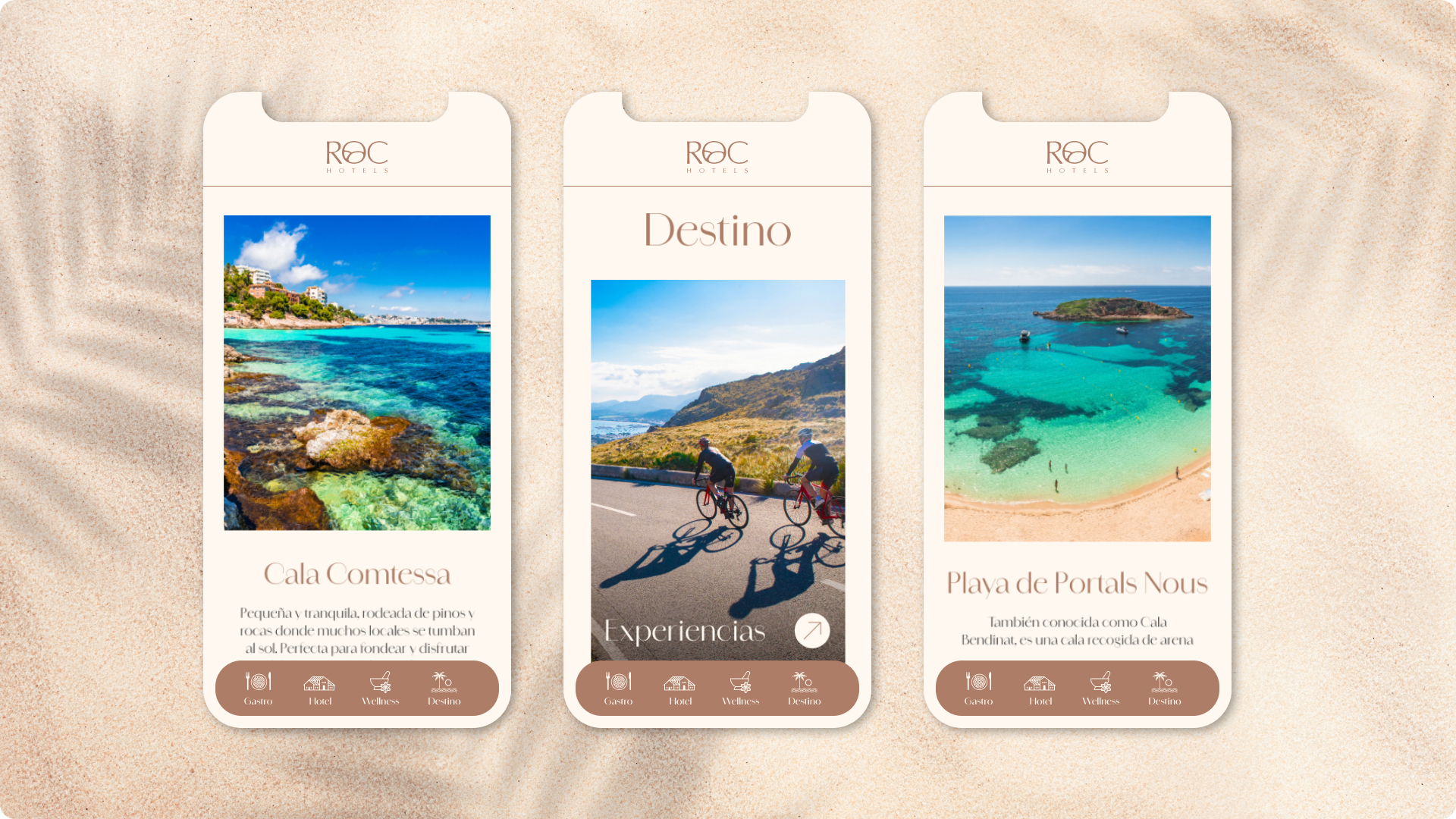 caso de exito en marketing turístico directorio digital wipass