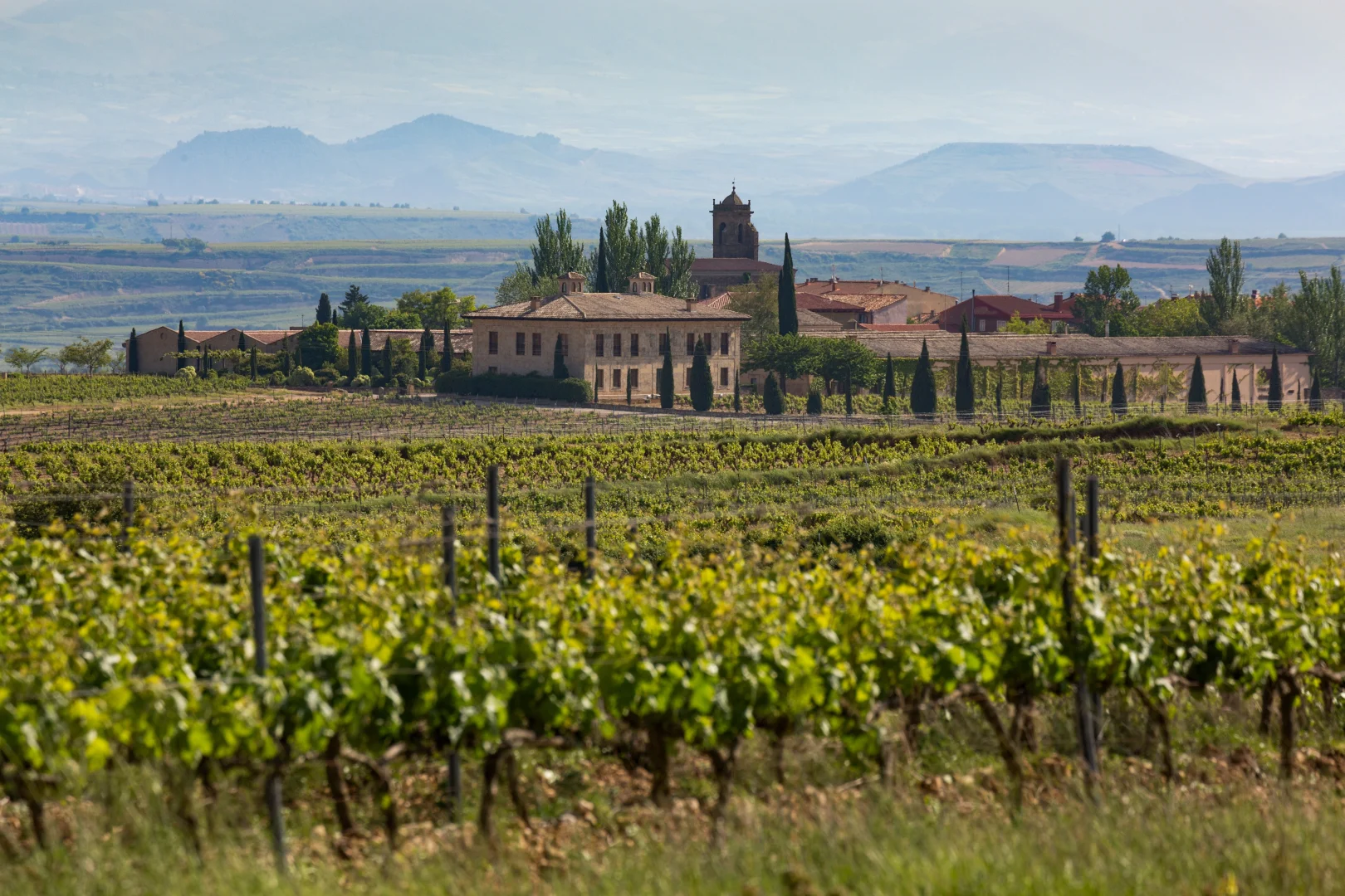 Vineyards in La Rioja that represent how travelers seek authentic experiences linked to the territory, nature and the local community within the framework of Spain Tourism 2030.