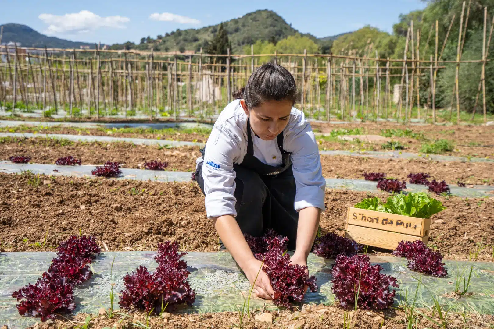 huerto restaurante de hotel sostenible en Mallorca