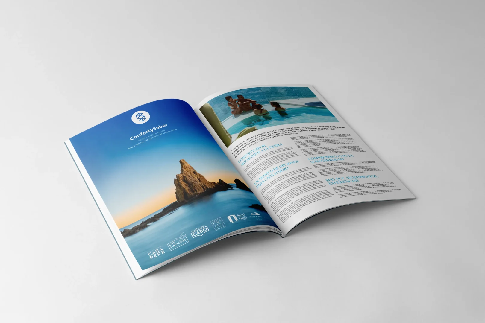 periódico confortysabor