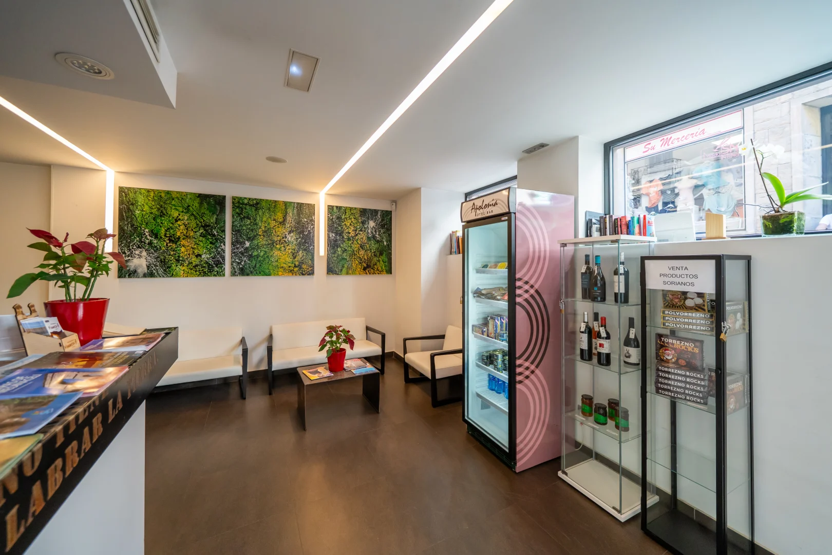 recepción hotel apolonia